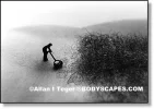 400lawnmower.webp