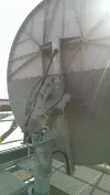 IMAG0484q.webp