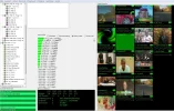 Muvi TP.webp Muvi TP.webp
