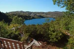 view.webp