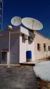 dish f.webp
