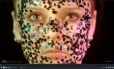 8k2.webp