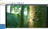 8k stream -tree_2018-07-01_13-49-55.webp
