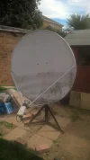 dish.webp dish.webp