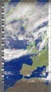 storm ali.webp