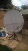 dish.webp