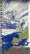storm ali.webp