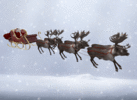 Reindeer-galloping-art3.gif