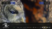 1hdrhlg001 (6).webp