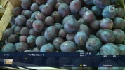 Moldova 1.webp