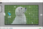 8K-2019-01-30_14-01-45.webp