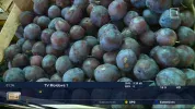 Moldova 1.webp