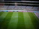 P1010016.webp