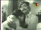 kairali.webp