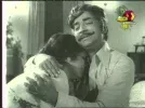 kairali.webp