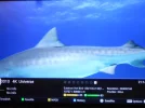 DSCN3313.webp