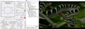 8K SES Astra-2019-09-04_18-28-46.webp
