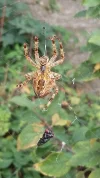 20190926_151724.webp