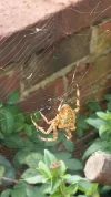 20190926_151742.webp