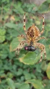 20190926_151803.webp