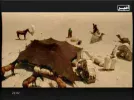 al amer tv 52e.webp