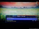 DSC01686-Optimized.webp