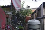 Dish farm between the garages2 !.webp