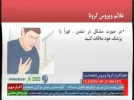 corona virus info 52e.webp