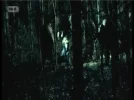 travel channel hd 51.5e.jpg