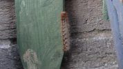 DSC01229.JPG