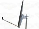 OP100 2.webp
