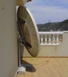 newdish1.webp newdish1.webp