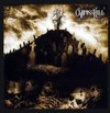 Cypress Hill.JPG