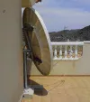 newdish1.webp