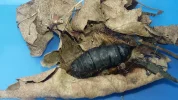 20200826_121830.webp