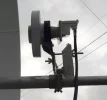 Feed 1.jpg