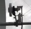 Feed 1.jpg