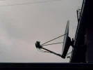 bokdi9.webp