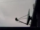 bokdi9.webp