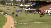 152.0E_20210301_Cowra_12679V_SR7500_p2.webp