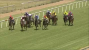 152.0E_20210301_Cowra_12679V_SR7500_p8.webp