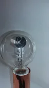 Bulb 1.webp