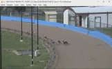 152.0E_20211021_SandownPark_Greyhounds_12661V_SR7500_p1.webp