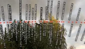 Sans titre 1.webp