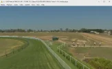 152.0E_20211004_Greyhounds_12679V_SR7500_p0.jpg