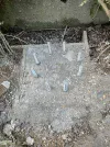 IMG_7133.webp IMG_7133.webp