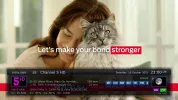 ch5HD.webp