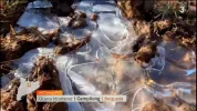 TV3SD.webp