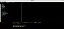 40E 3929L Tatarstan no T2MI video.png