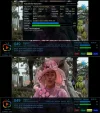 21538a-vert.webp 21538a-vert.webp